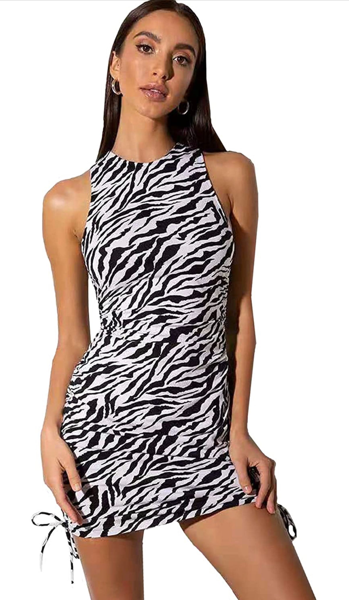 Zebra Dress